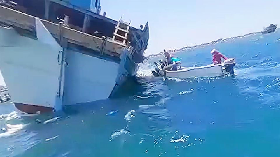 Frachtschiff kentert mit 2000 Schafen – dramatische Rettung im Video