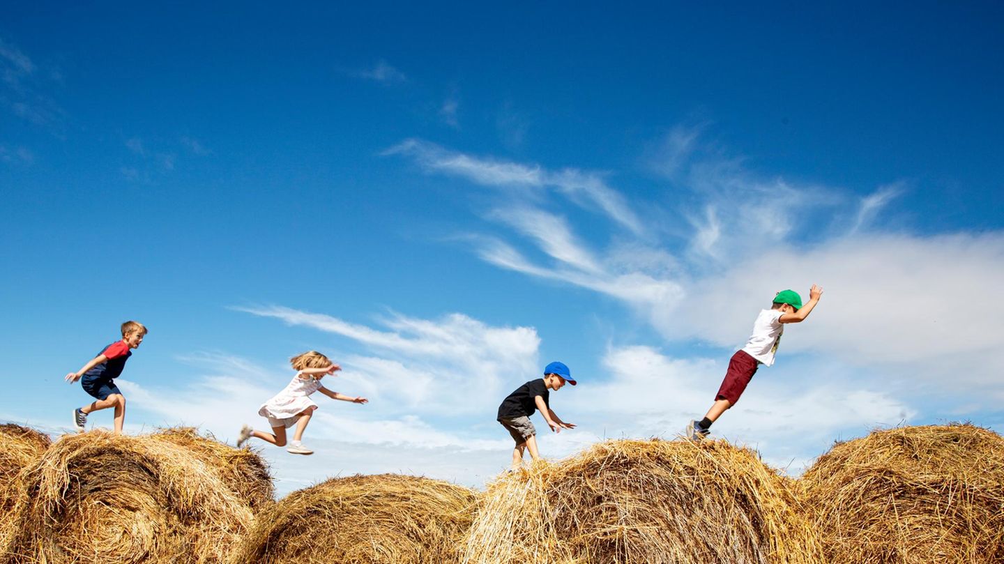 Heuschnupfen: Kinder spielen auf dem Bauernhof