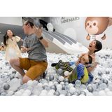 Eine Familie im Bällebad