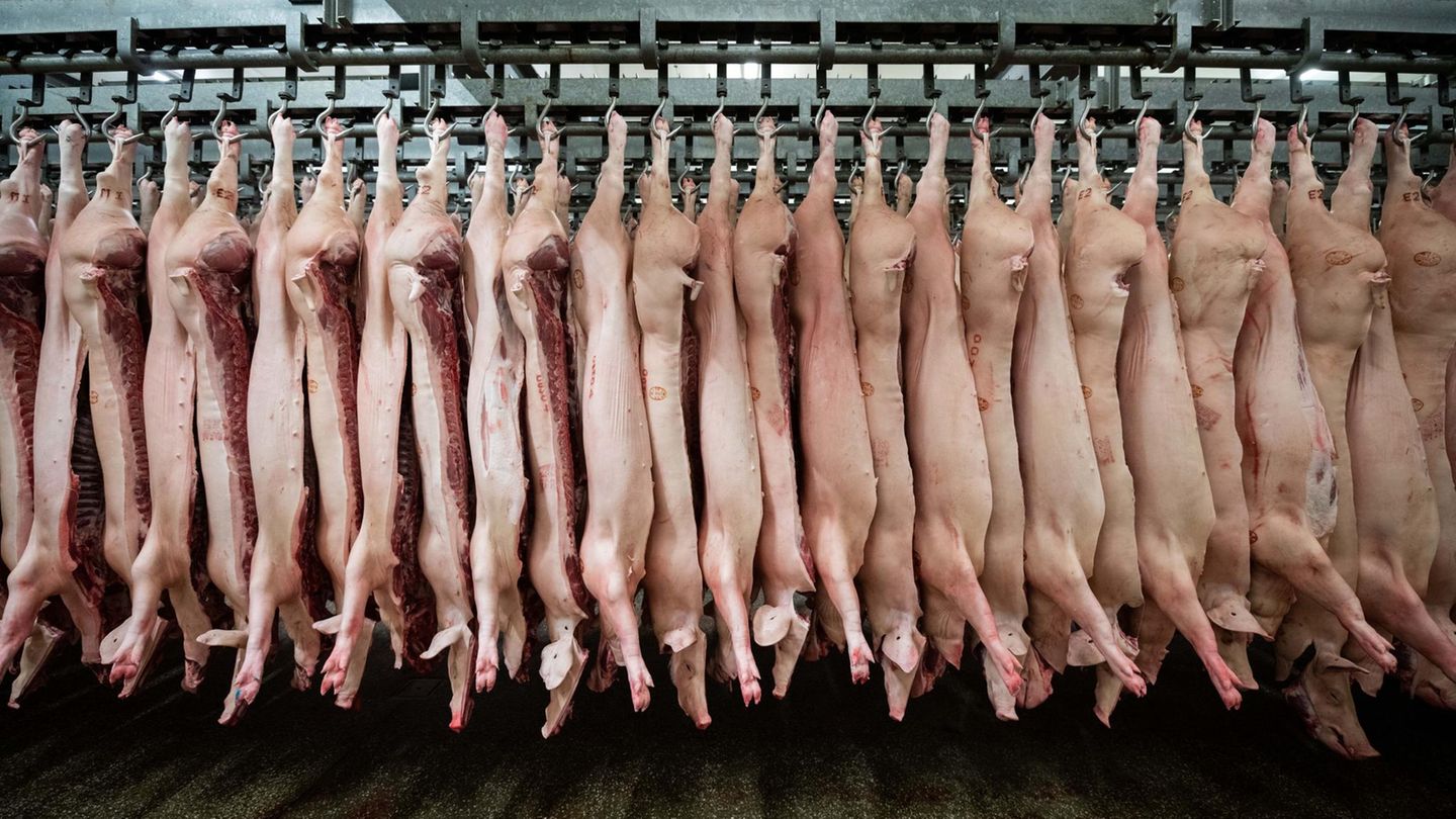 Halbe Schweine hängen in einem niedersächsischen Schlachthof am Haken