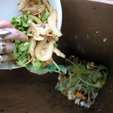 Verbraucherinnen und Verbraucher müssen ab Mai besser auf die Mülltrennung achten. Nach einer neuen Verordnung darf Bioabfall ab dem 1. Mai nur noch eine Verunreinigung von maximal drei Prozent aufweisen, wie der Verband Kommunaler Unternehmen (VKU) mitteilt. Häufige Fremdstoffe im Biomüll sind etwa Kunststoffe, Steine, Glas, Keramik und Metalle. Ist der Anteil höher als drei Prozent, könnten Mitarbeitende der Müllbetriebe den Abfall in Zukunft stehen lassen. Auch Bußgelder sind bei Verstößen möglich. Überprüft werden soll der Inhalt mit künstlicher Intelligenz, Detektoren, die die Tonne scannen, oder per Sichtkontrolle