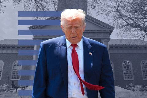 Montage: Trump vor Harvard