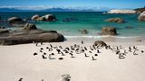 Boulders Beach, Südafrika