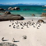 Boulders Beach, Südafrika