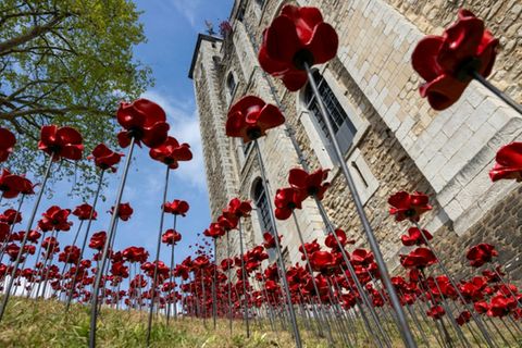 Einige der 30.000 Keramik-Mohnblumen in London