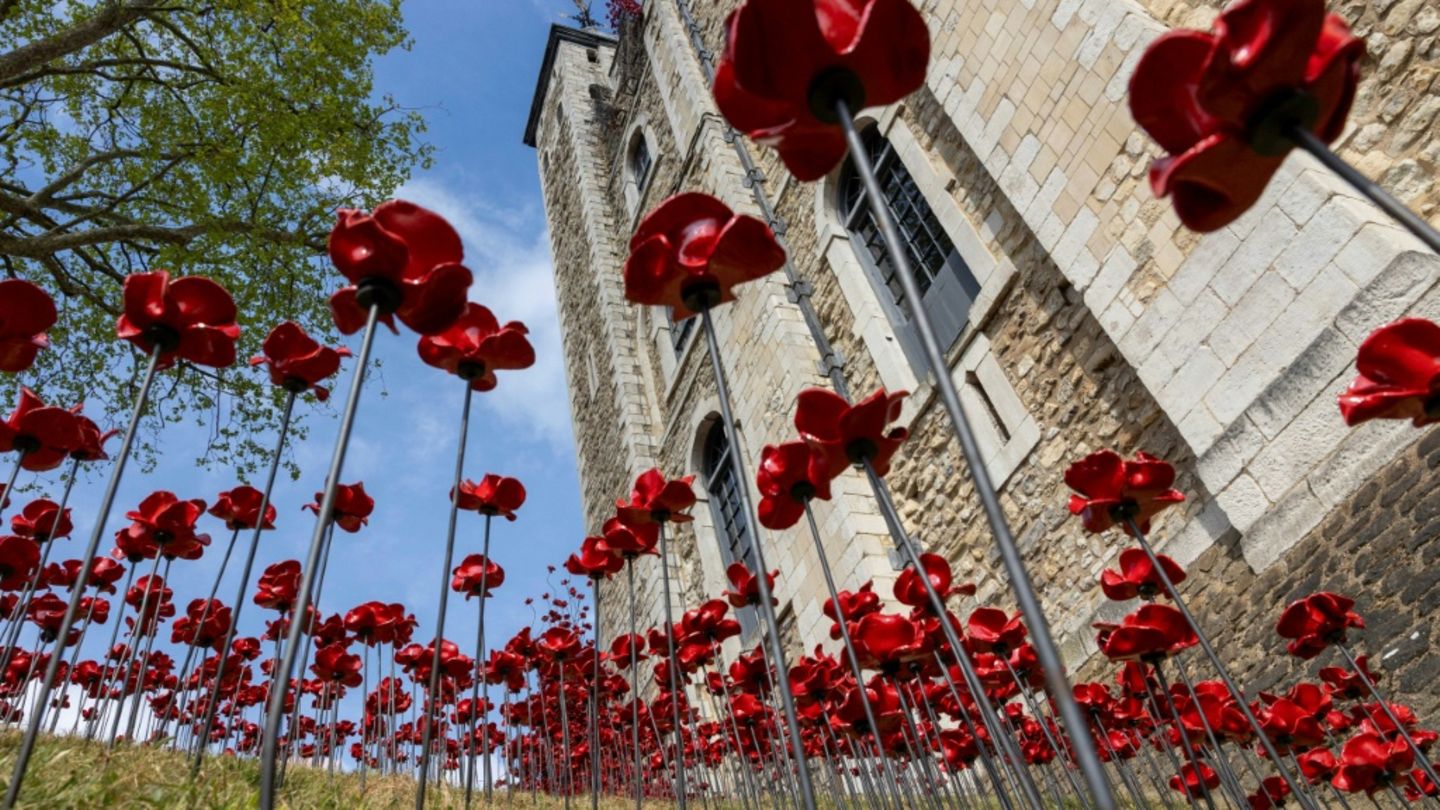 Einige der 30.000 Keramik-Mohnblumen in London
