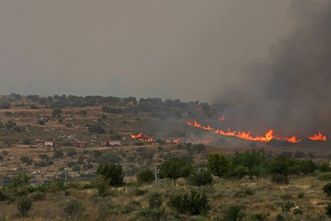 Waldbrände nahe der israelischen Stadt Beit Schemesch