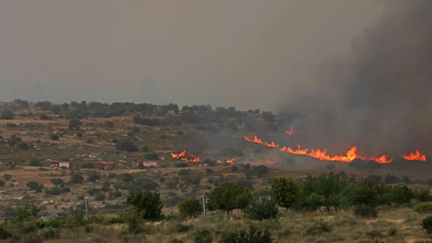 Waldbrände nahe der israelischen Stadt Beit Schemesch