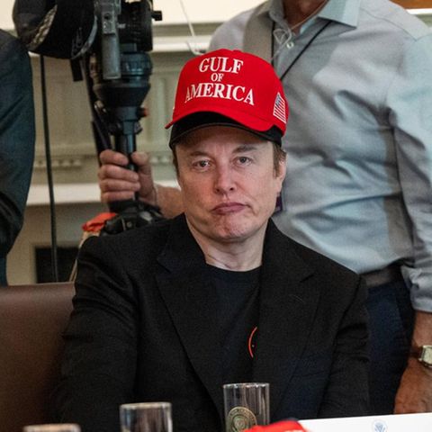 Elon Musk at a session of Donald Trump's cabinet