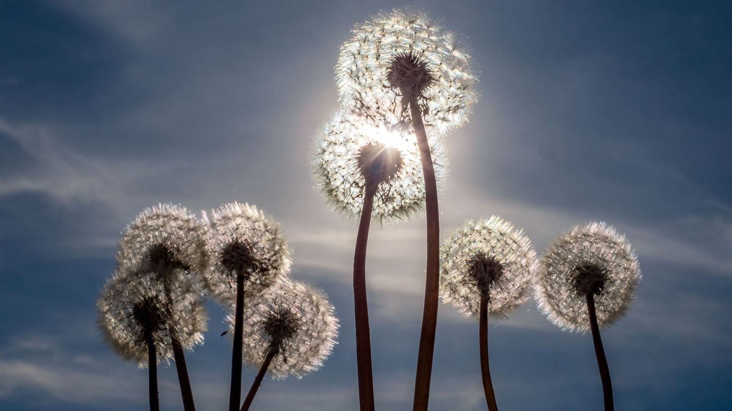 Wetterumschwung: Fast 30 Grad am Maifeiertag - Jetzt folgt Temperatursturz