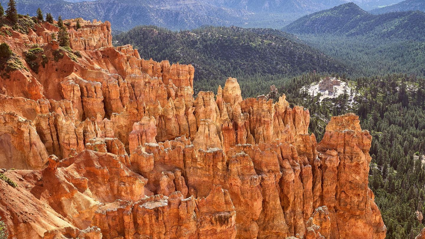 Bryce Canyon - Katze überlebt Sturz, Besitzer liegen tot neben ihr