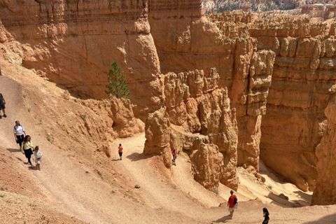 Touristen im Bryce Canyon