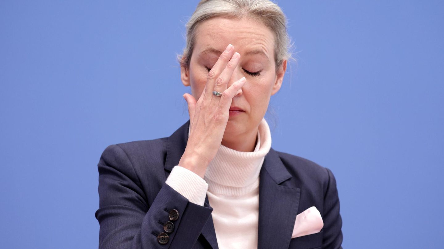 Entire AfD secured right -wing extremist, says the protection of the constitution