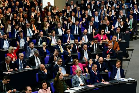 AfD-Fraktion im Bundestag