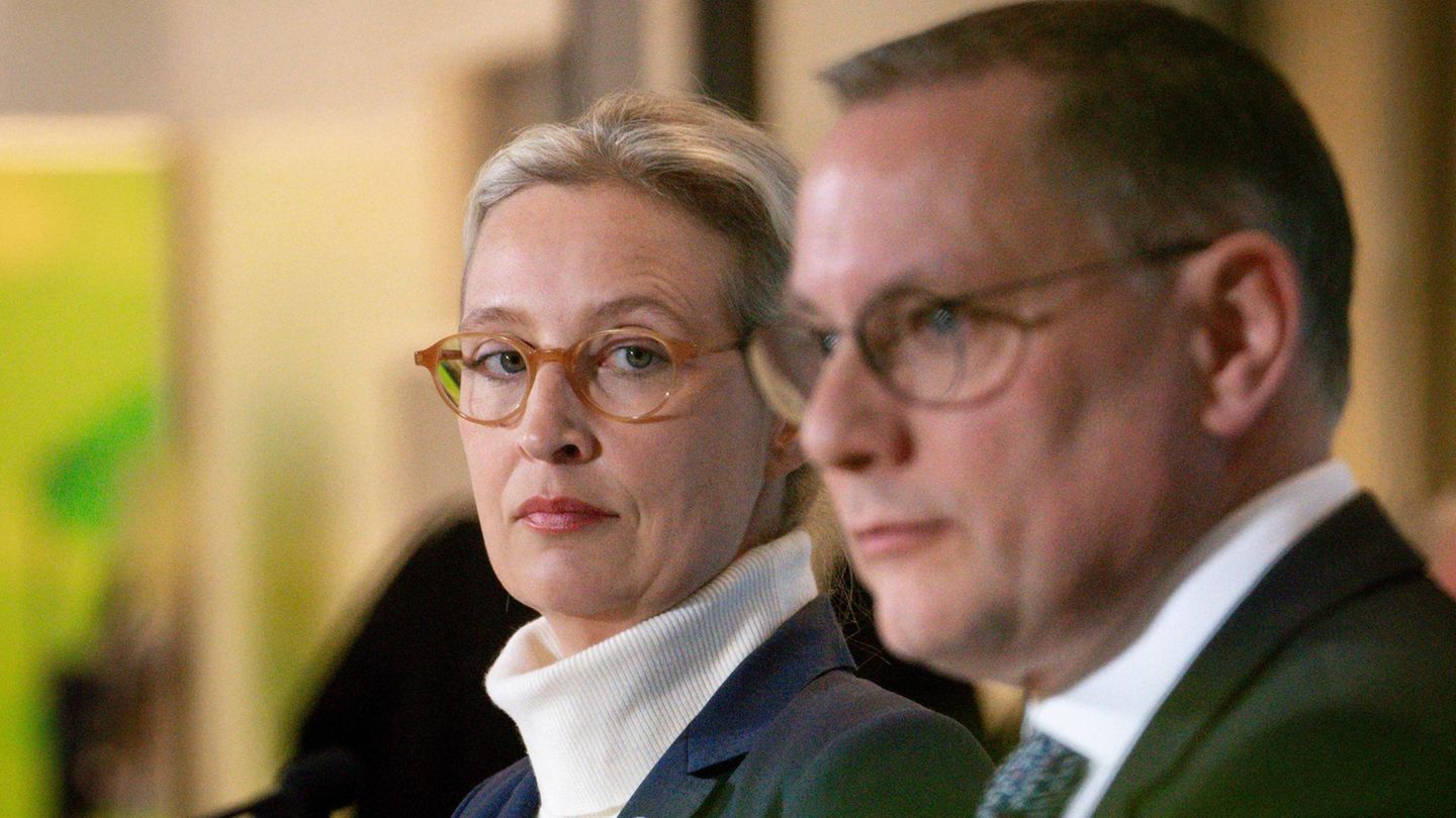 AfD wants to legally defend itself against right-wing extremism classification