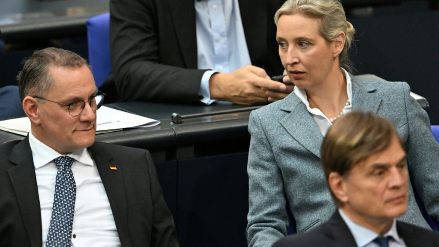 Chrupalla und Weidel im Bundestag