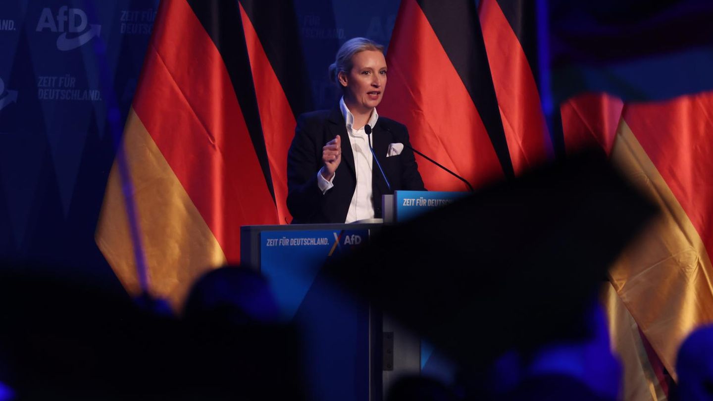 Die AfD und der Verfassungsschutz: So wird die Partei nicht kleiner