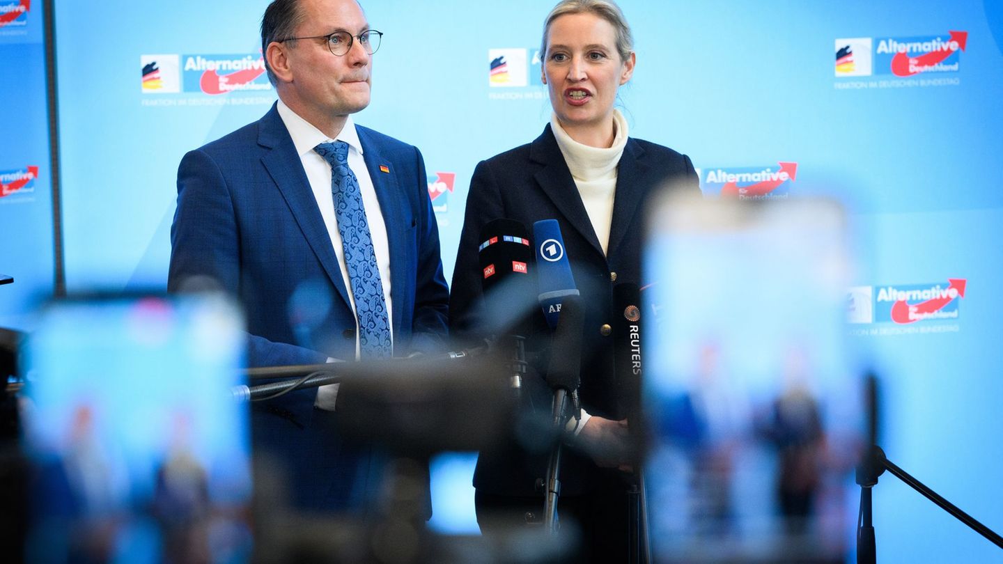 Protection of the constitution: What does the new classification mean for the AfD?