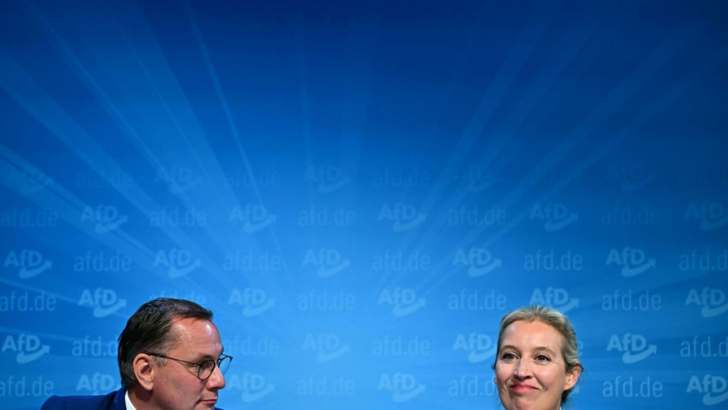 AfD-chefs Chrupalla und Weidel