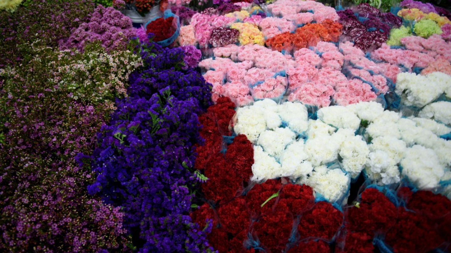 Blumen in Kalifornien
