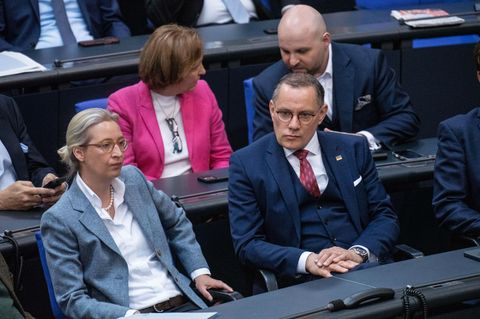 Afd Fraktion