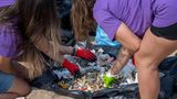 Jugendliche sammeln Müll am Strand