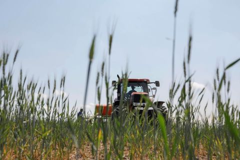 Traktor auf einem Feld