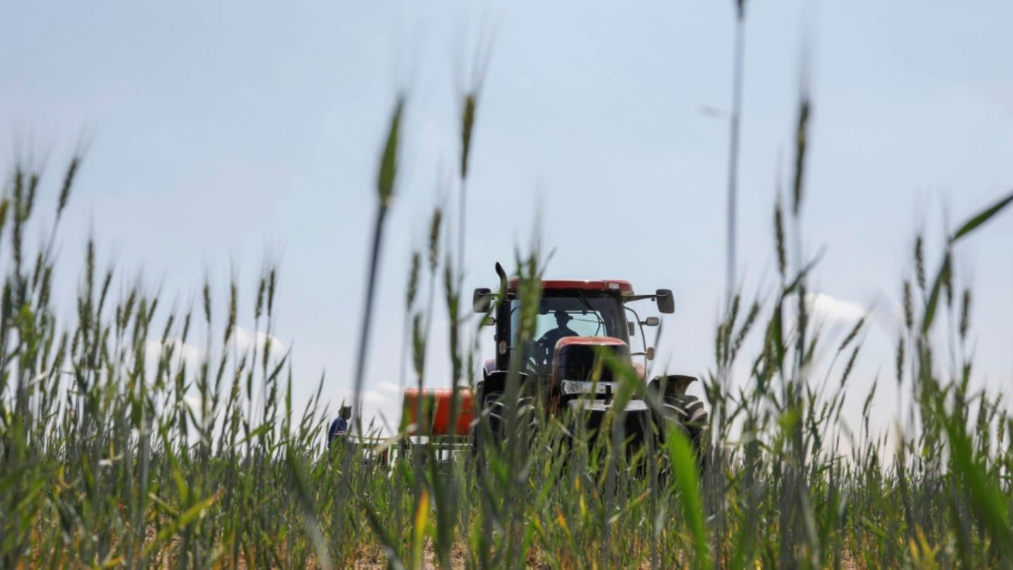 Traktor auf einem Feld