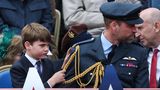 Prinz Louis und Prinz William beim Veterans Day auf dem Ehrenbalkon