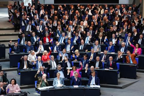 Die AfD-Fraktion im Bundestag, Symbolbild für Austritt von Sieghard Knodel