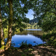 Nonnenmattweiher im Schwarzwald