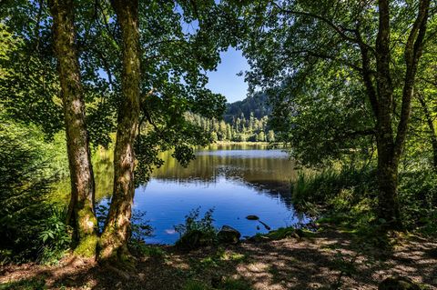 Nonnenmattweiher im Schwarzwald