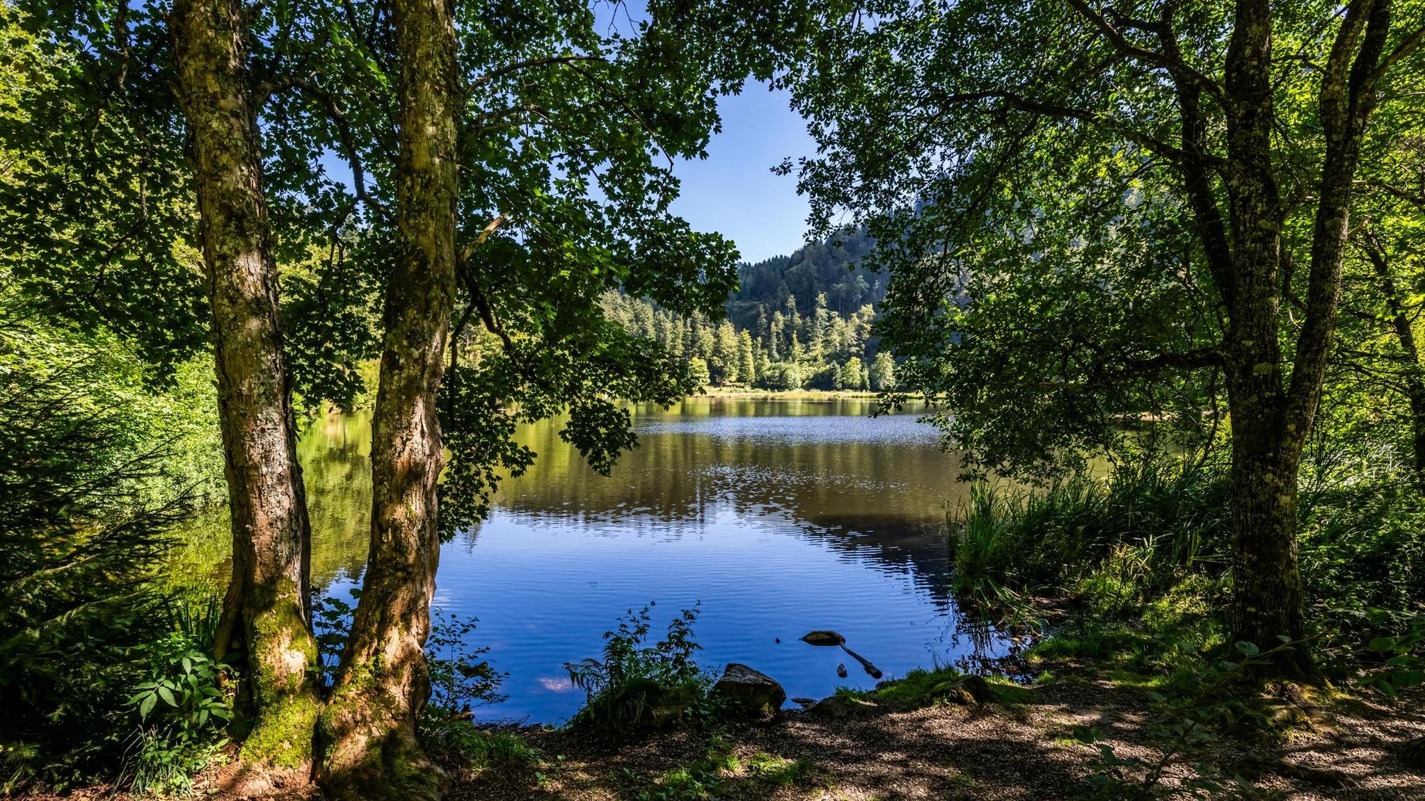 Nonnenmattweiher im Schwarzwald