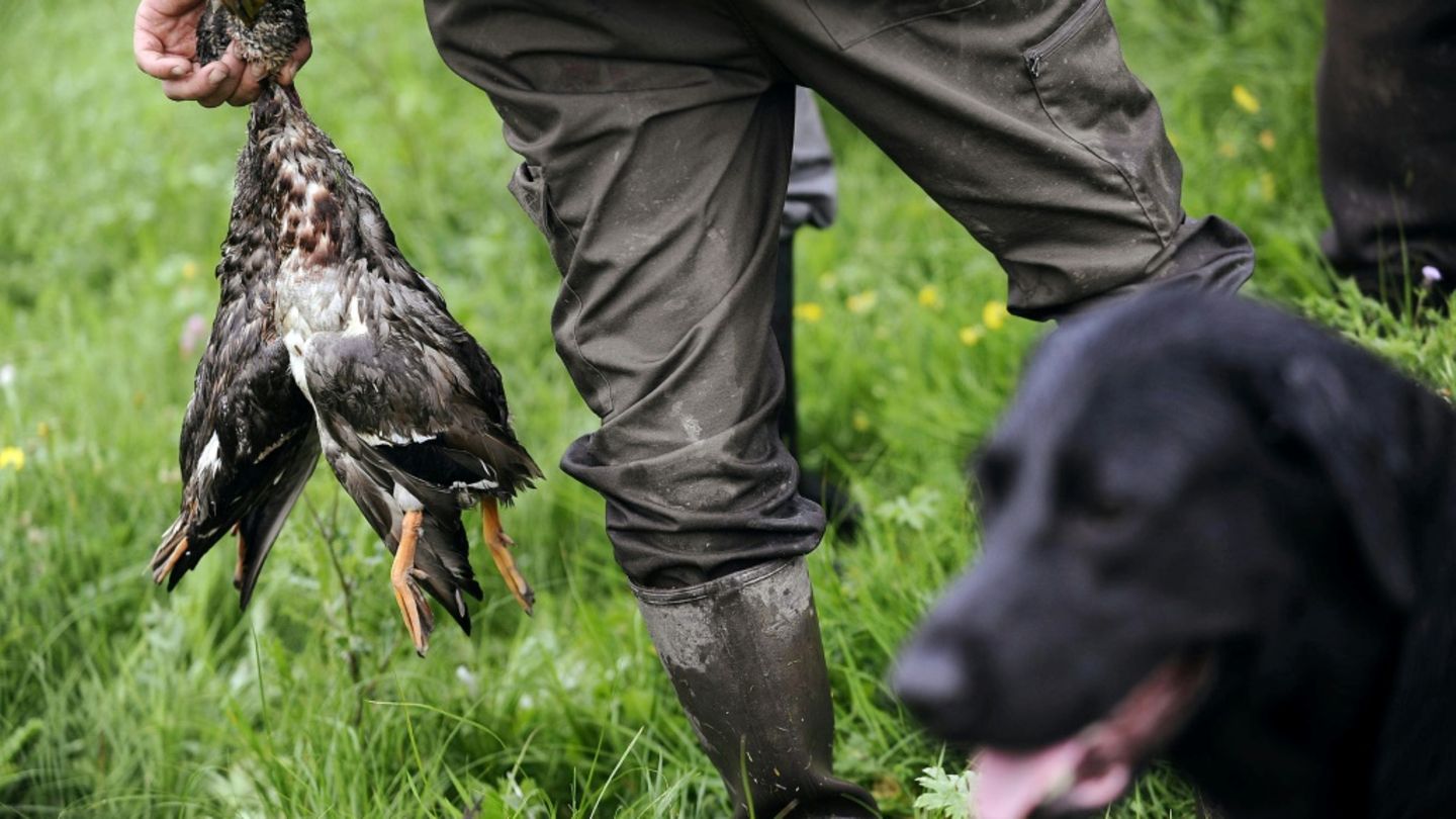 Jäger mit Hund und geschossenen Vögeln