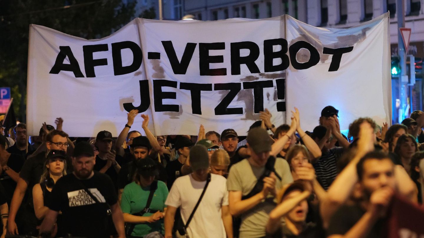The AfD cannot be monitored and not banned away