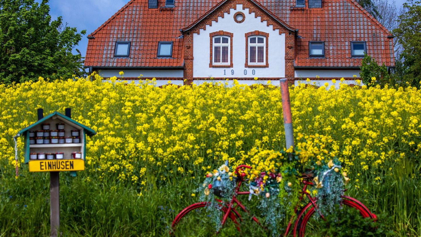Mostly small businesses: more and more holiday apartments are being booked online