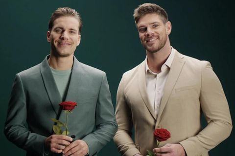 Die Bachelors 2025