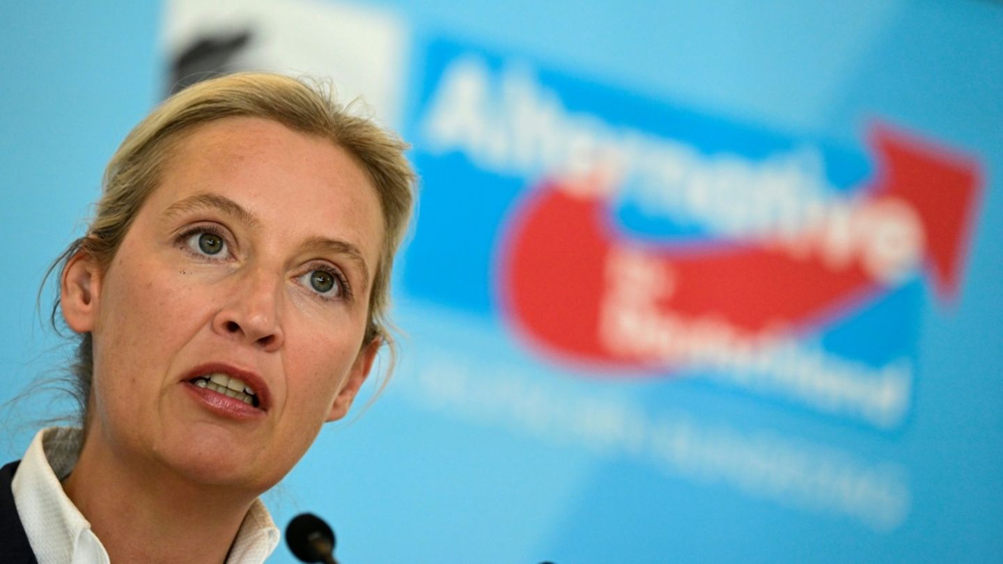 Alice Weidel