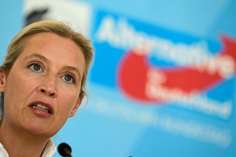 Alice Weidel