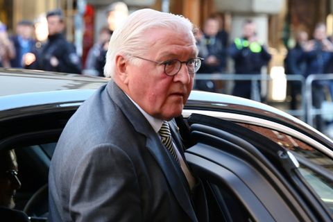 Präsident Steinmeier