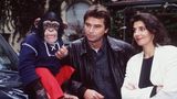 Schimpanse "Charly" mit den Schauspielern Ralph Schicha, Karin Kienzer