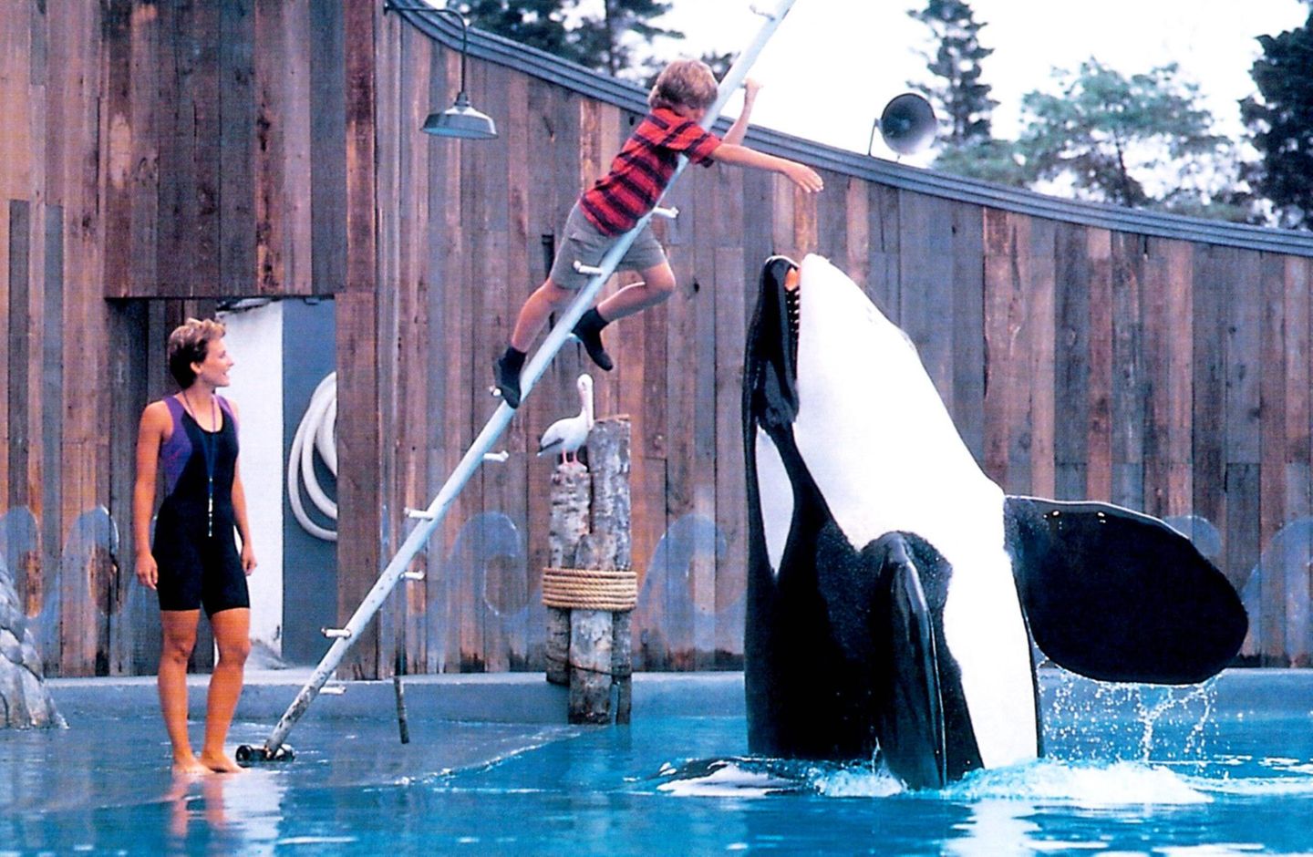 Jesse und sein Freund der Orca Willy im Freizeitpark