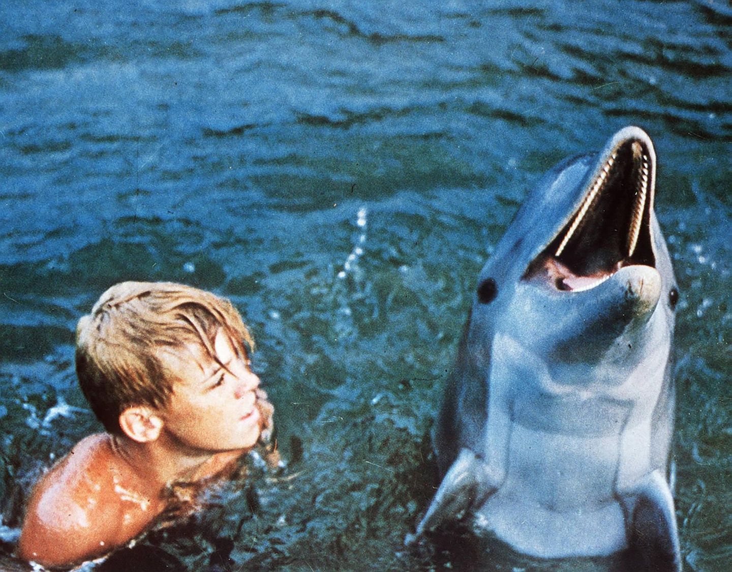 Sandy, der Sohn des Unterwassernationalpark-Aufsehers Porter Ricks, verbringt gemeinsam mit seinem Bruder Bud jede Minute mit Flipper. Die gleichnamige Serie lief von 1964 bis 1967 im US-Fernsehen, das ZDF zeigte 75 der ursprünglichen 88 Episoden von 1966 bis 1972. Ob das typische Geschnatter des Filmdelfins tatsächlich von einem Meeressäuger stammte, ist nicht belegt. Der Trainer der Tiere sprach sich später gegen solche Serien aus, da sie die Tiere unter Stress setzten. Dass Flipper in praktisch jeder Folge Haie per Schnauzenstoß tötet, ist jedenfalls nicht natürlich und wirft ein schlechtes Bild auf die Intention der Serie