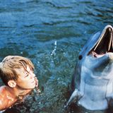Sandy, der Sohn des Unterwassernationalpark-Aufsehers Porter Ricks, verbringt gemeinsam mit seinem Bruder Bud jede Minute mit Flipper. Die gleichnamige Serie lief von 1964 bis 1967 im US-Fernsehen, das ZDF zeigte 75 der ursprünglichen 88 Episoden von 1966 bis 1972. Ob das typische Geschnatter des Filmdelfins tatsächlich von einem Meeressäuger stammte, ist nicht belegt. Der Trainer der Tiere sprach sich später gegen solche Serien aus, da sie die Tiere unter Stress setzten. Dass Flipper in praktisch jeder Folge Haie per Schnauzenstoß tötet, ist jedenfalls nicht natürlich und wirft ein schlechtes Bild auf die Intention der Serie