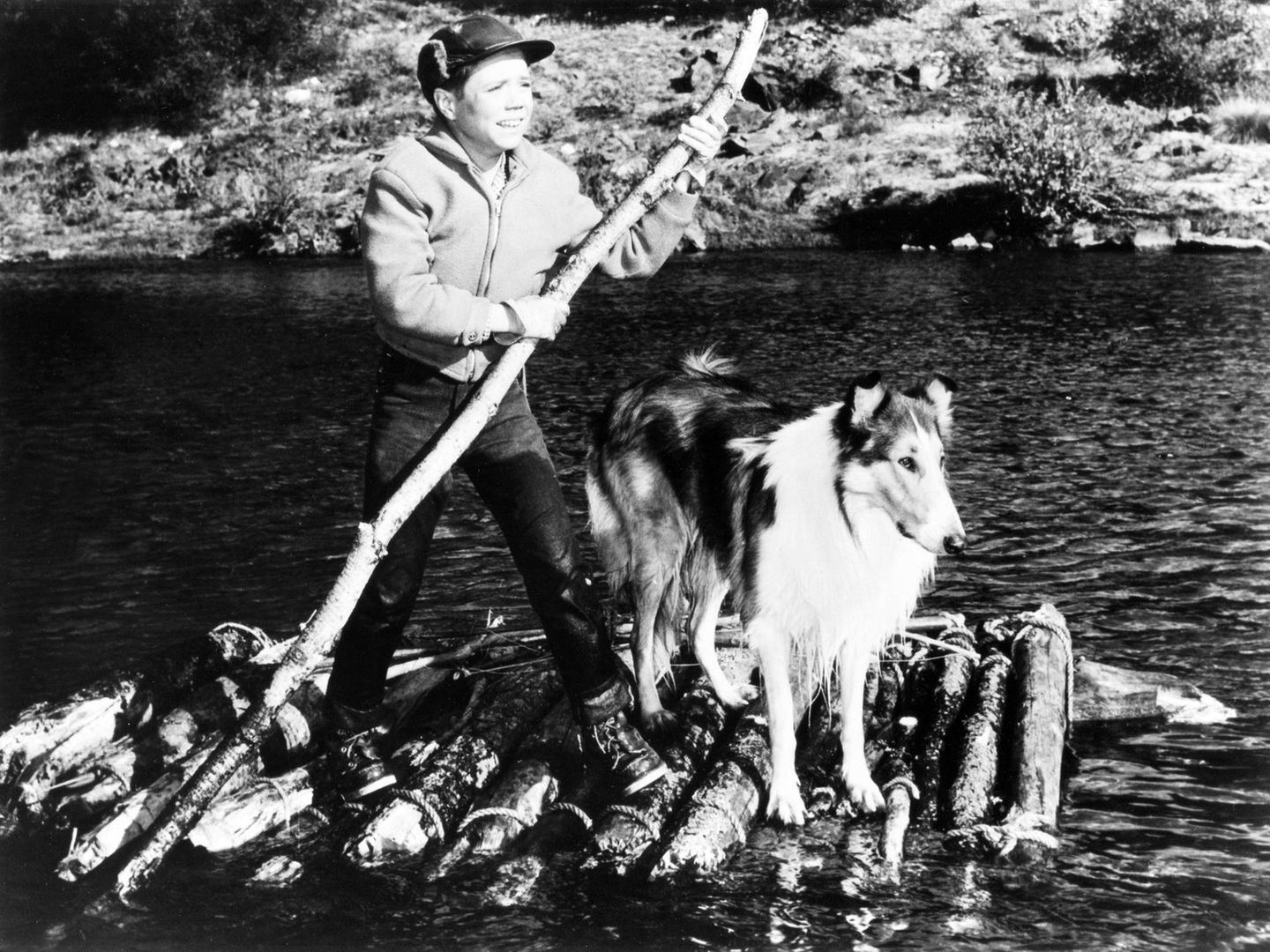 Filmtiere Lassie mit seinem Herrchen, dem Jungen Timmy Martin auf einem Floß aus Baumstämmen