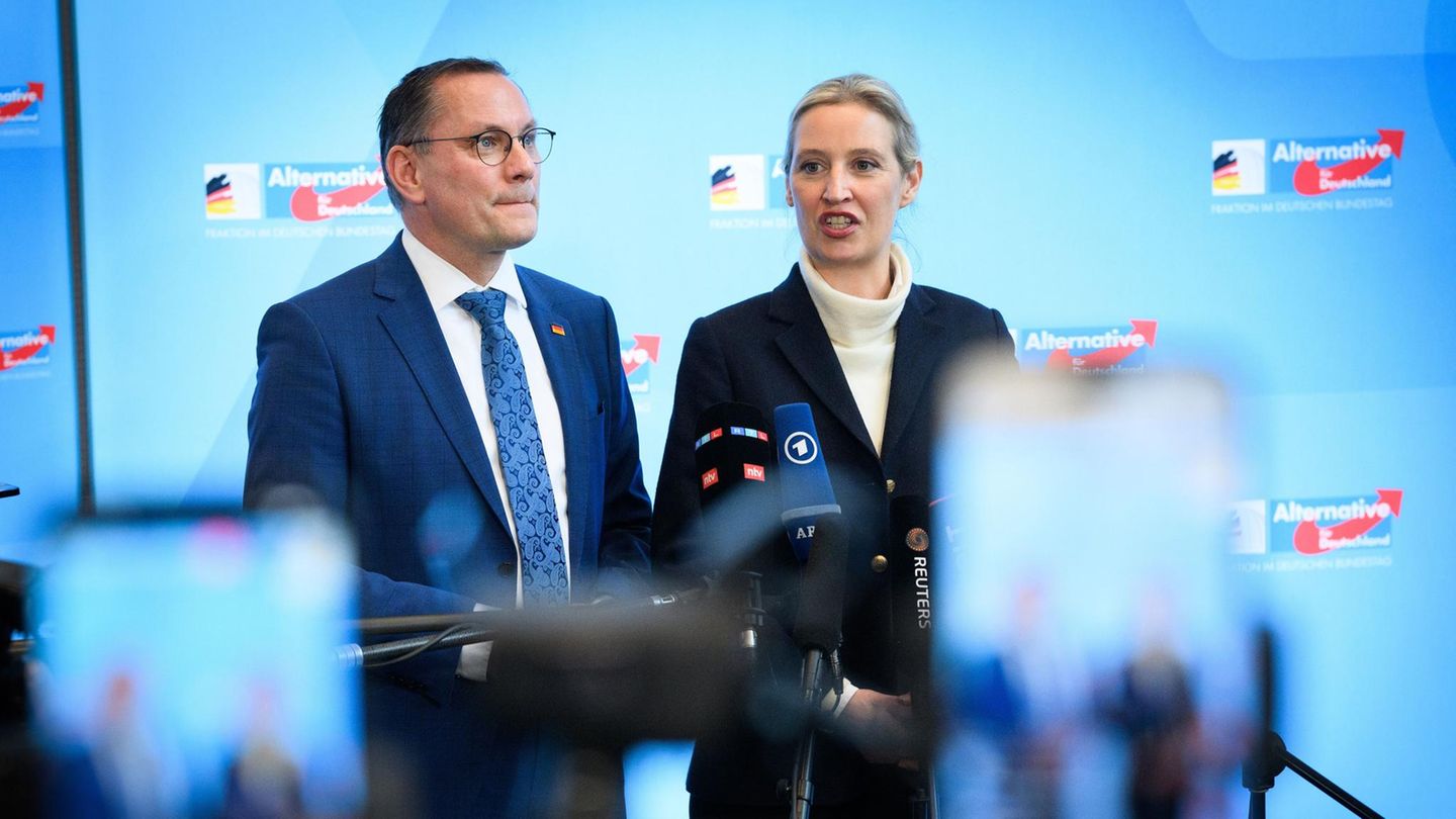 AfD report leaked: The constitutional protection writes about the AfD