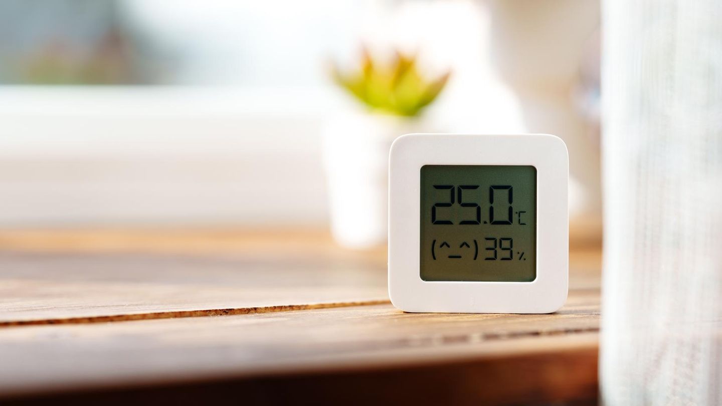 Kraut & Dübel: Hygrometer mit Beleuchtung für 16 statt 27 Euro: Top Garten-Deals am Donnerstag