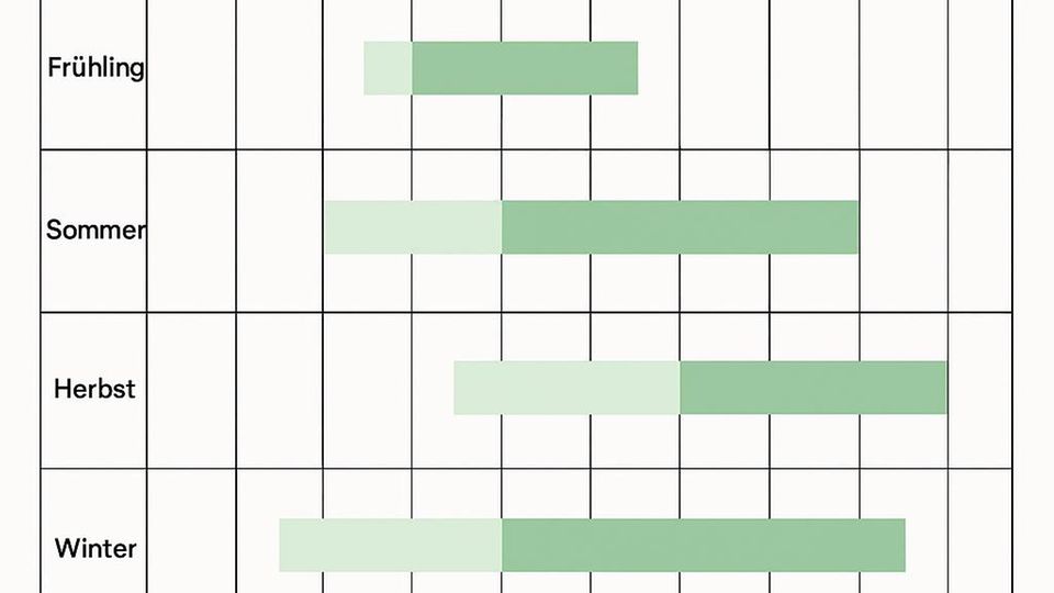 Feldsalat Kalender