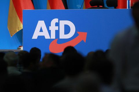 Im Eilverfahren der AfD gegen ihre Einstufung als gesichert rechtsextremistische Bestrebung hat das Bundesamt für Verfassungsschutz eine sogenannte Stillhaltezusage abgegeben