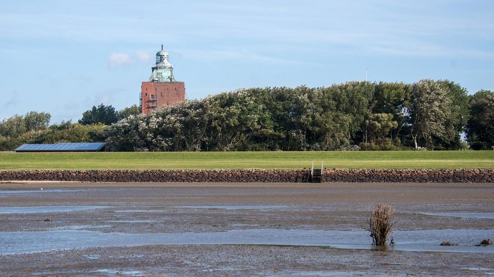 Neuwerk, Wattenmeer